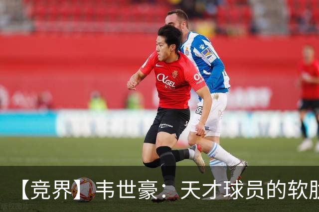 【竞界】韦世豪：天才球员的软肋 洪七公效应的外溢